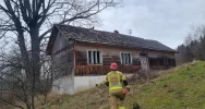 Pies spędził kilka dni na uszkodzonym dachu budynku - zdjęcie 2