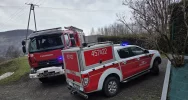 Pies spędził kilka dni na uszkodzonym dachu budynku - zdjęcie 3