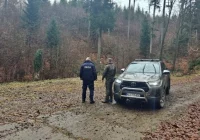 „Choinka” w lasach. Wspólne patrole policji i straży leśnej - zdjęcie główne