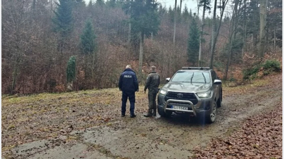 Powiat limanowski: przedświąteczna akcja „Choinka” w lasach/fot.: KPP Limanowa