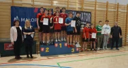 Sportowe osiągnięcia szkół w rejonie - zdjęcie 2
