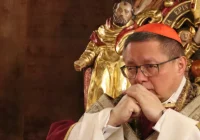 Kardynał Ryś: potrzebujemy przeorać ziemię krakowskiego Kościoła - zdjęcie główne