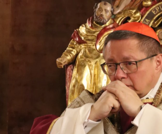 Kardynał Ryś: potrzebujemy przeorać ziemię krakowskiego Kościoła - zdjęcie główne