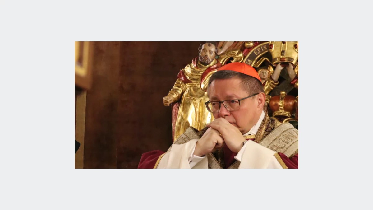 Kardynał Ryś: potrzebujemy przeorać ziemię krakowskiego Kościoła