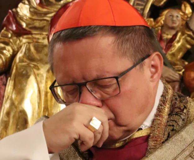 Kardynał Ryś powołał komisję do zbadania wykorzystywania seksualnego bezbronnych dorosłych - zdjęcie główne