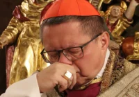 Kardynał Ryś powołał komisję do zbadania wykorzystywania seksualnego bezbronnych dorosłych - zdjęcie główne