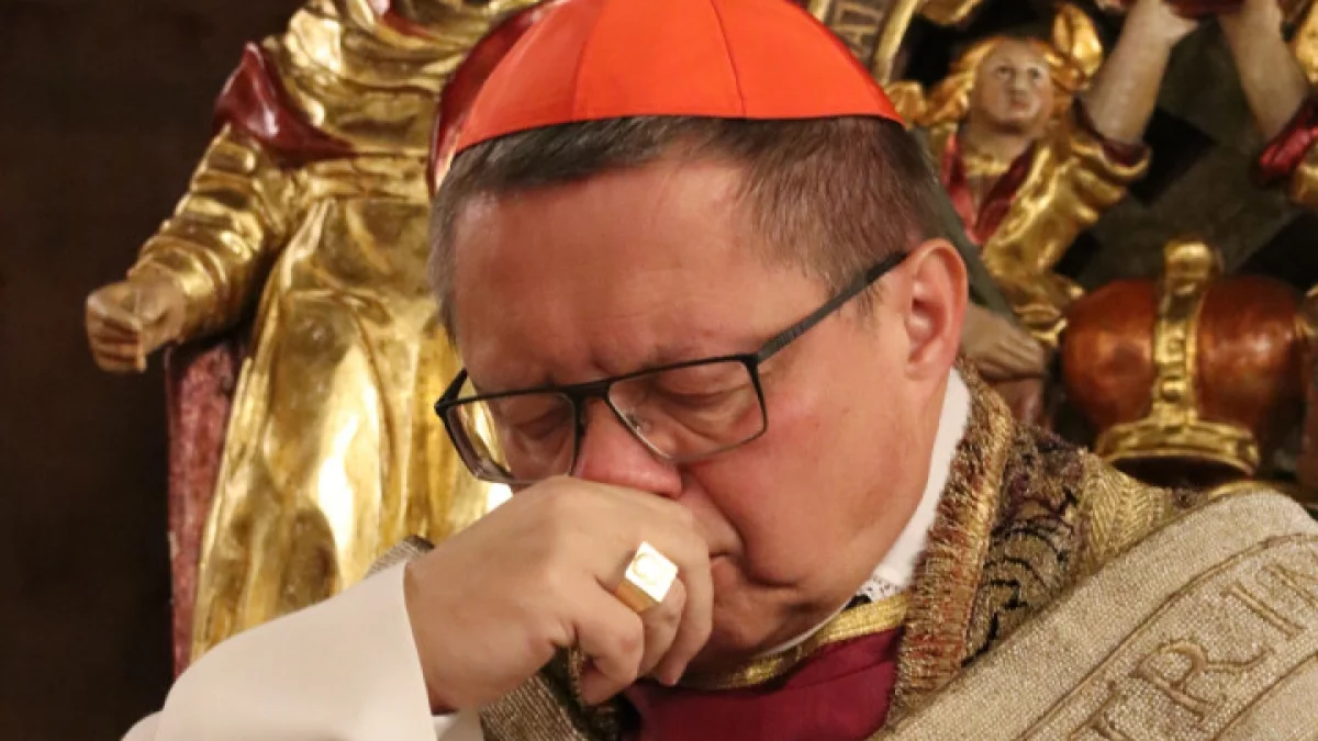 Kardynał Ryś powołał komisję do zbadania wykorzystywania seksualnego bezbronnych dorosłych