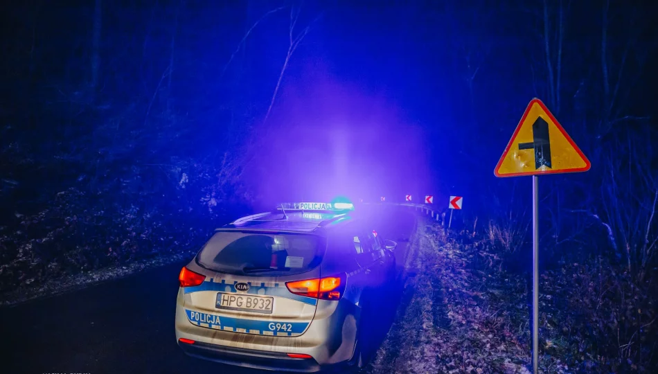 Audi poza jezdnią, kierowca zatrzymany - zdjęcie 1