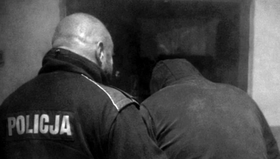 Przemoc w domu. Trzy miesiące aresztu dla 56-latka - zdjęcie 1