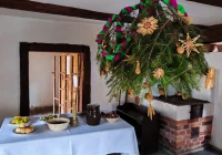 Choinka to następczyni podłaźniczki - zdjęcie główne