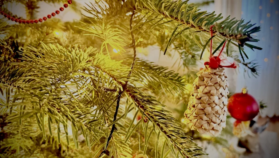 Śmierć w salonie na własne życzenie? Nie pozwól, by Twoja choinka skończyła jako "drapak" przed Trzema Królami - zdjęcie 1