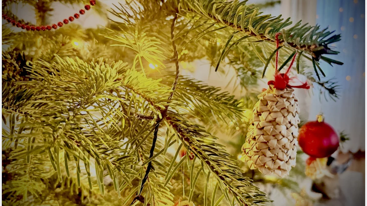 Śmierć w salonie na własne życzenie? Nie pozwól, by Twoja choinka skończyła jako "drapak" przed Trzema Królami