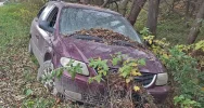 Wrak zarasta roślinnością i wciąż stoi przy drodze - zdjęcie 3