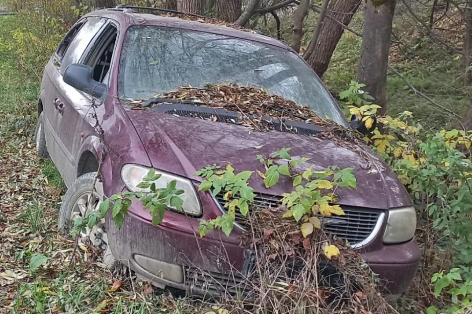 Wrak zarasta roślinnością i wciąż stoi przy drodze - zdjęcie 3