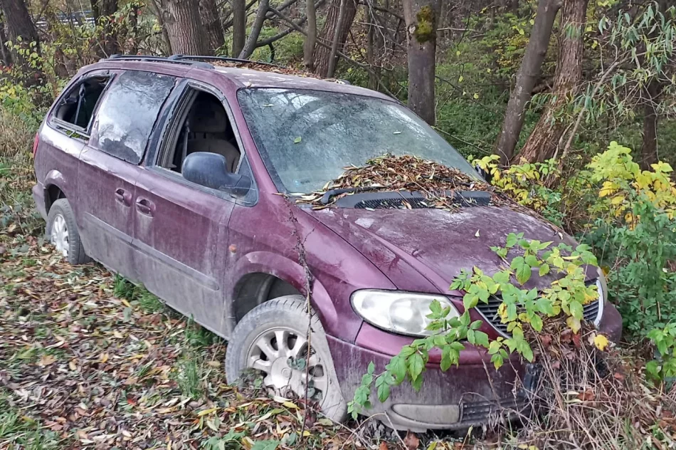 Wrak zarasta roślinnością i wciąż stoi przy drodze - zdjęcie 4