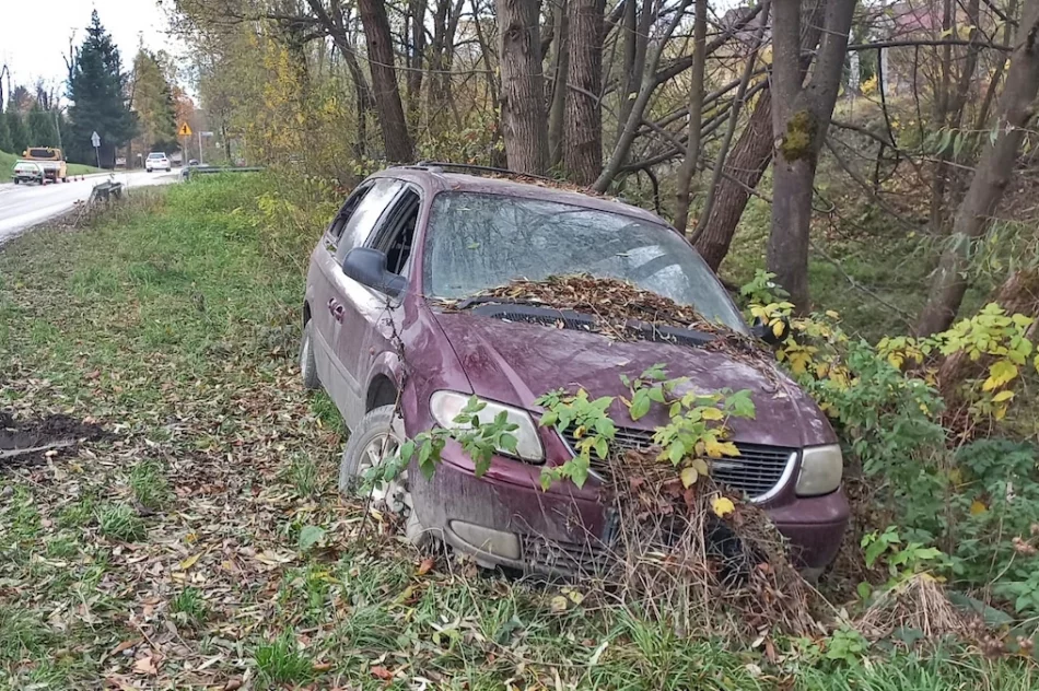 Wrak zarasta roślinnością i wciąż stoi przy drodze - zdjęcie 7