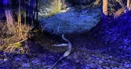 Ogień objął garaż, w środku był samochód - zdjęcie 4