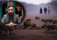 Radni ostro o wójcie: “mem, który dawno przestał śmieszyć” - zdjęcie główne