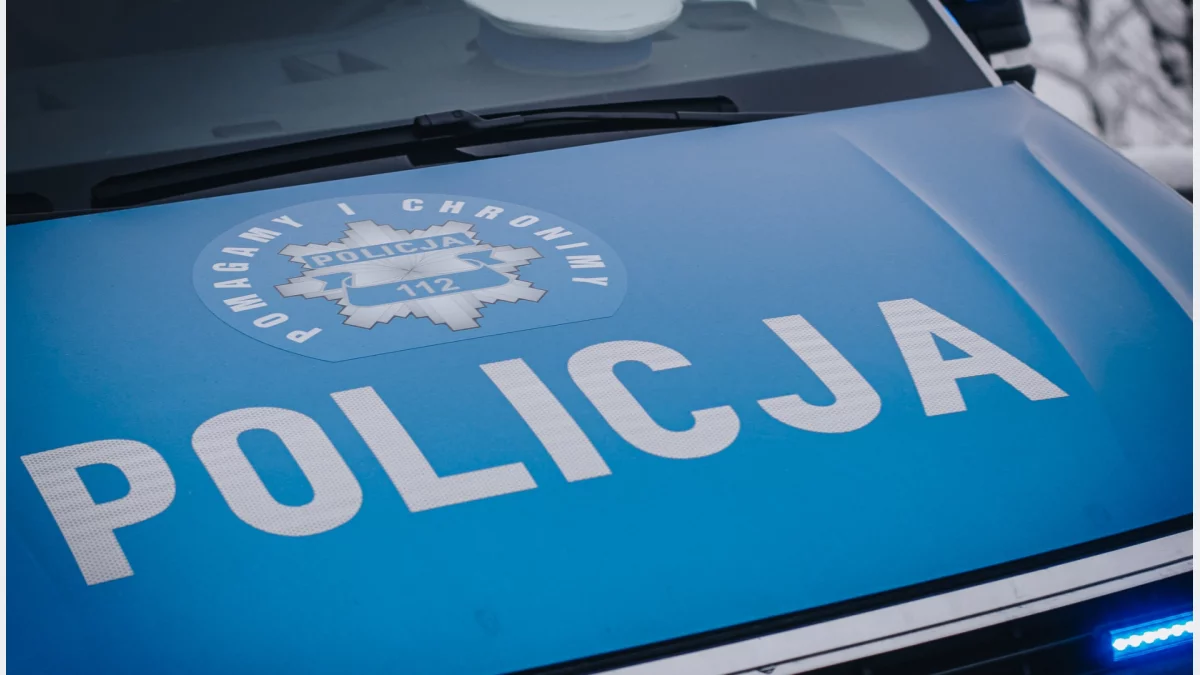 Mandaty za kolizje - policyjne podsumowanie wtorku