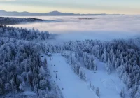 Z powodu awarii wyciągu ewakuowano ponad 70 osób - zdjęcie główne