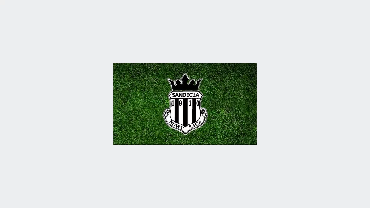 Pseudokibicom grozi więzienie za atak na prezesa Sandecji