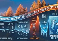 Czeka nas pogodowy rollercoaster i siarczysty mróz do -20°C! - zdjęcie główne