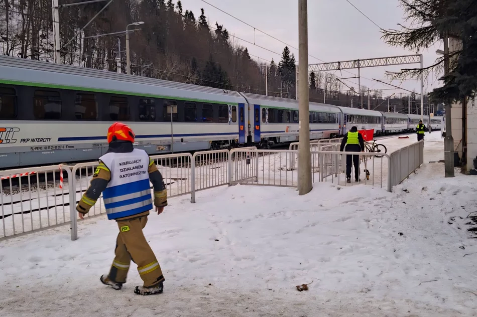 Utrudnienia na trasie kolejowej na Podhalu po śmiertelnym potrąceniu - zdjęcie 2