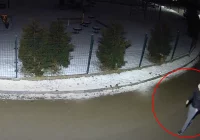 Policja publikuje nagranie. Rozpoznajesz podejrzanego? - zdjęcie główne