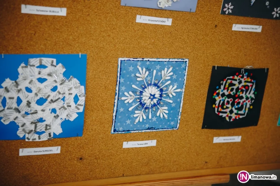 Mój Najpiękniejszy Płatek Śniegu - zdjęcie 9