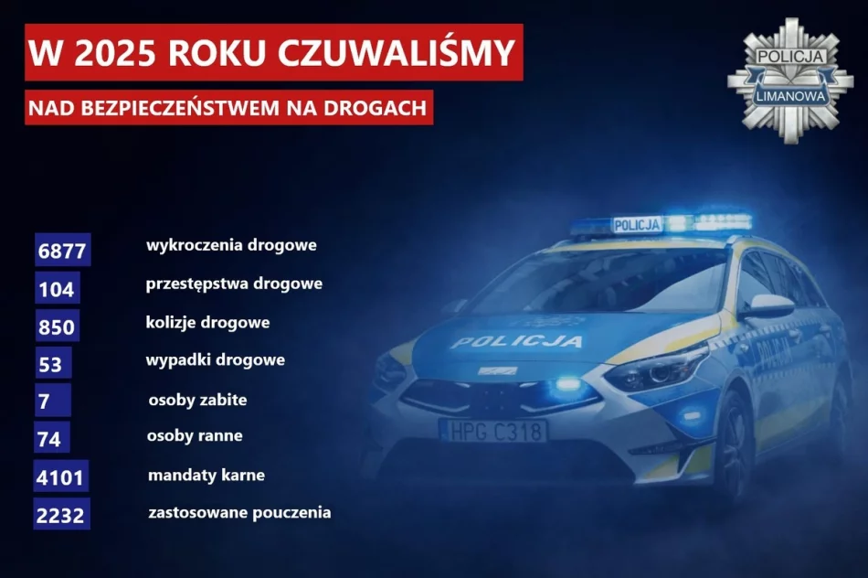 Policyjne podsumowanie roku  - zdjęcie 2