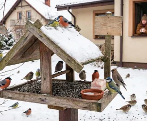 Ptaki też ludzie - zdjęcie główne