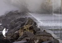 Po katastrofie Heweliusz zatonął ponownie – w morzu kłamstw (wywiad, powt.) - zdjęcie główne