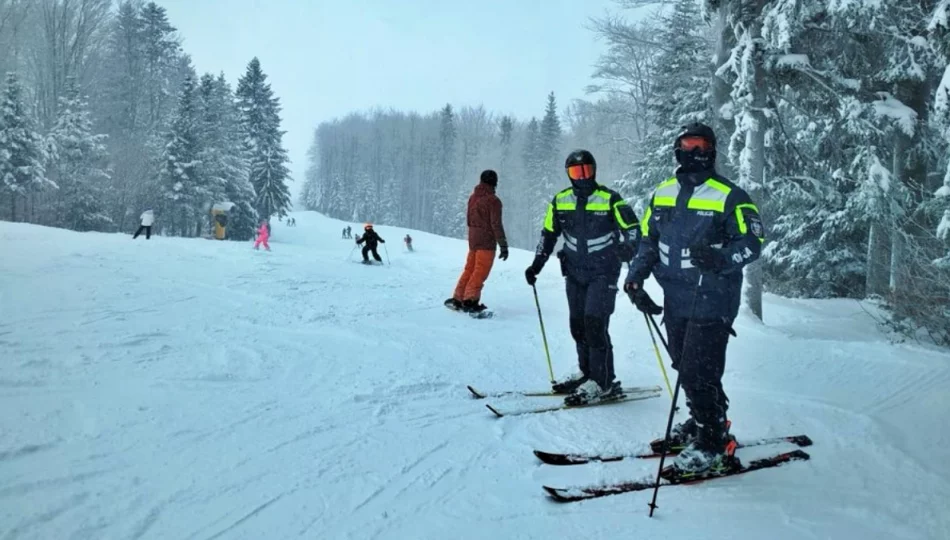 Policyjne patrole na stoku - zdjęcie 1