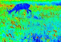 Precyzja, zasięg i niezawodność – jakie są możliwości termowizorów? - zdjęcie główne