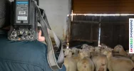 „Poranek na wsi” z wizytą w regionie (ZDJĘCIA) - zdjęcie 2