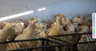 „Poranek na wsi” z wizytą w regionie (ZDJĘCIA) - zdjęcie 5