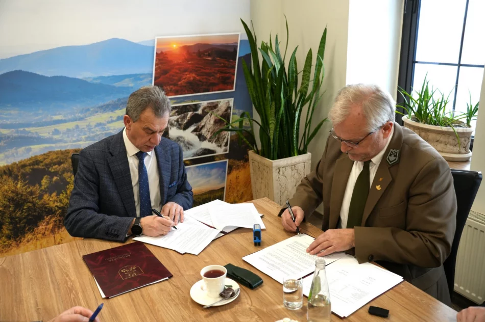 Starostwo powierza nadzór nad lasami - zdjęcie 8