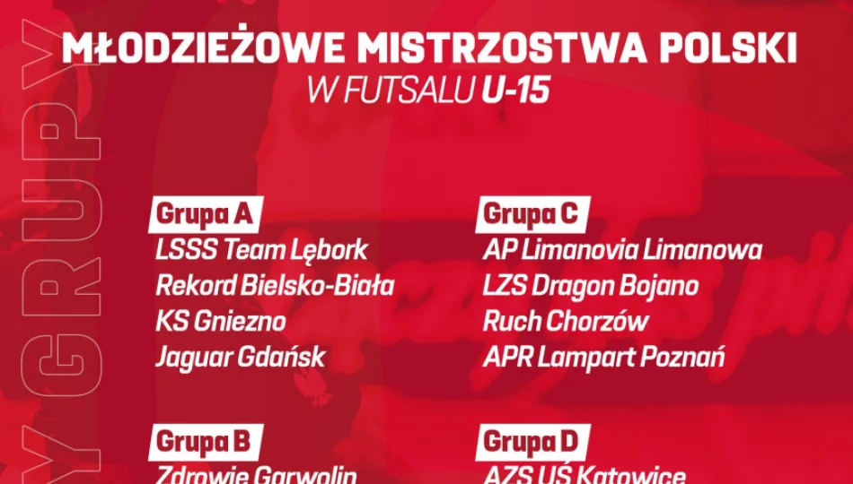 Młodzież Limanovii powalczy z najlepszymi w Polsce - zdjęcie 1