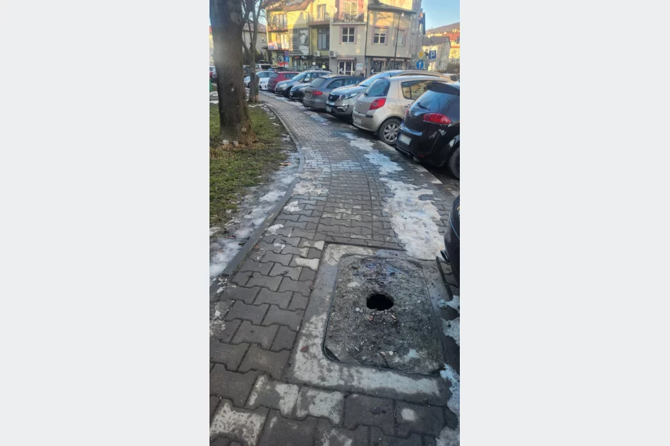 Pułapka na pieszych  - zdjęcie 2