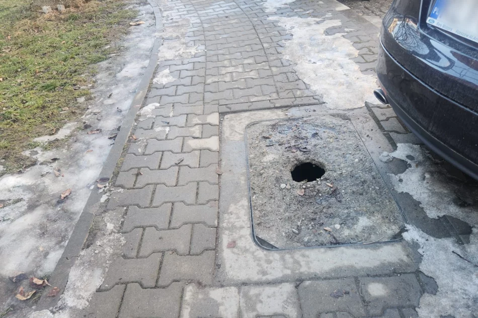 Pułapka na pieszych  - zdjęcie 4