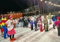Impreza na lodowisku rozpoczęła ferie (ZDJĘCIA) - zdjęcie główne