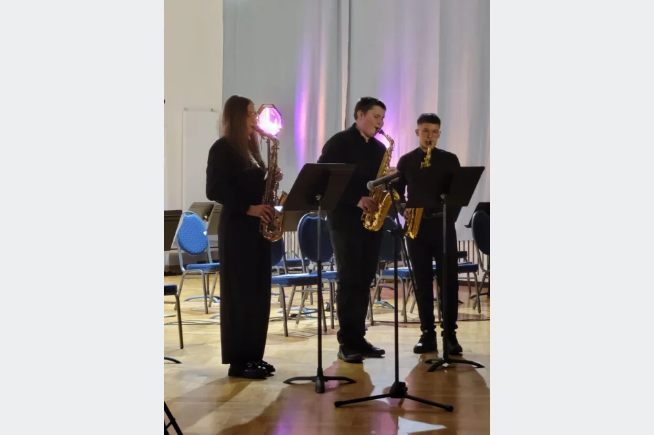 Noworoczny koncert szkoły muzycznej - zdjęcie 11