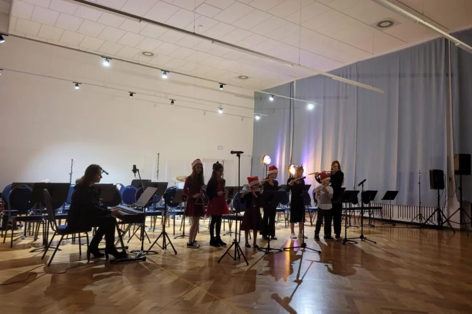 Noworoczny koncert szkoły muzycznej - zdjęcie 14