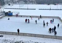 Lodowisko na sprzedaż - zdjęcie główne
