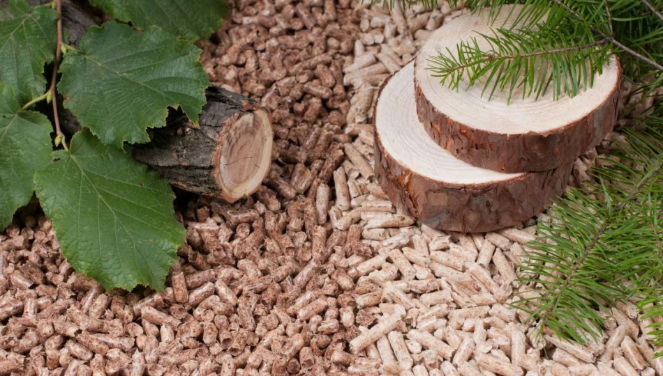 Pellet nadal bezpiecznym i stabilnym paliwem: sezonowe wahania nie zmieniają jego roli na rynku - zdjęcie 1