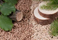 Pellet nadal bezpiecznym i stabilnym paliwem: sezonowe wahania nie zmieniają jego roli na rynku - zdjęcie główne