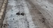 Plac budowy znów na asfalcie - zdjęcie 4
