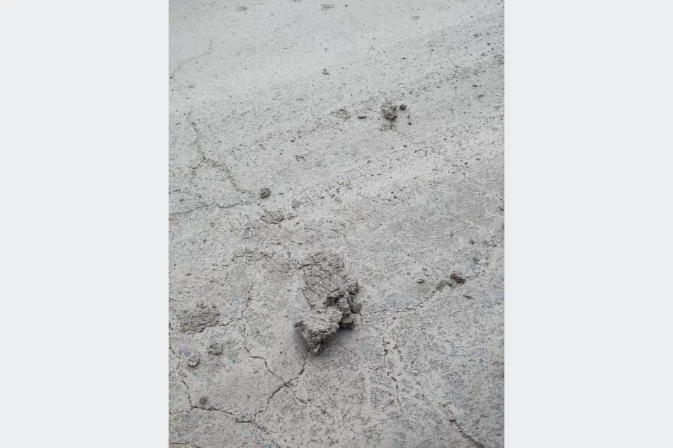 Plac budowy znów na asfalcie - zdjęcie 10
