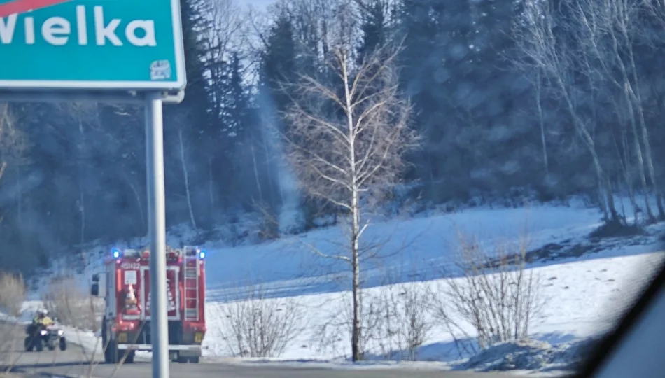 Ogień w lesie - interwencja strażaków - zdjęcie 1