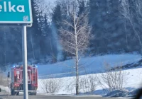 Ogień w lesie - interwencja strażaków - zdjęcie główne